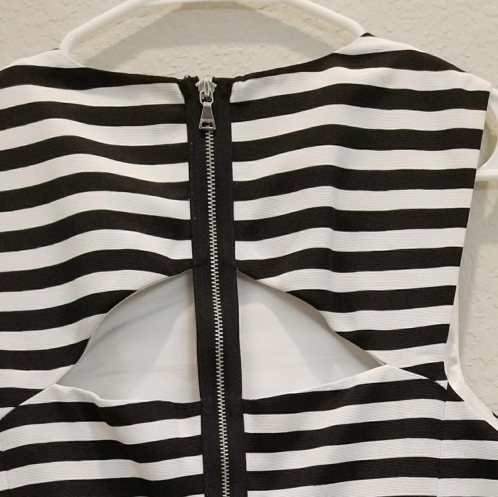 Express Dress - Picture 3 of 4